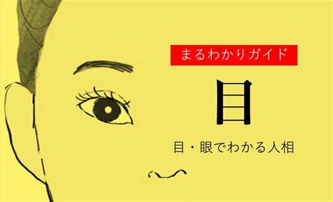 象眼 人相|目(眼)でわかる人相！目の形や特徴ごとの性格【観相。